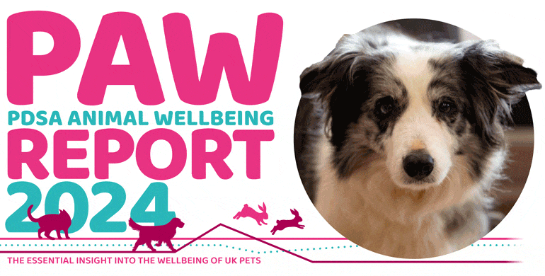 A graphic displaying the heading PAW Report 2024